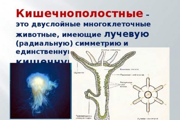 Тор браузер blacksprut bs2web top