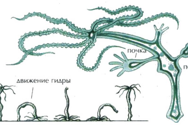 Спрут сайт тор bs onion info